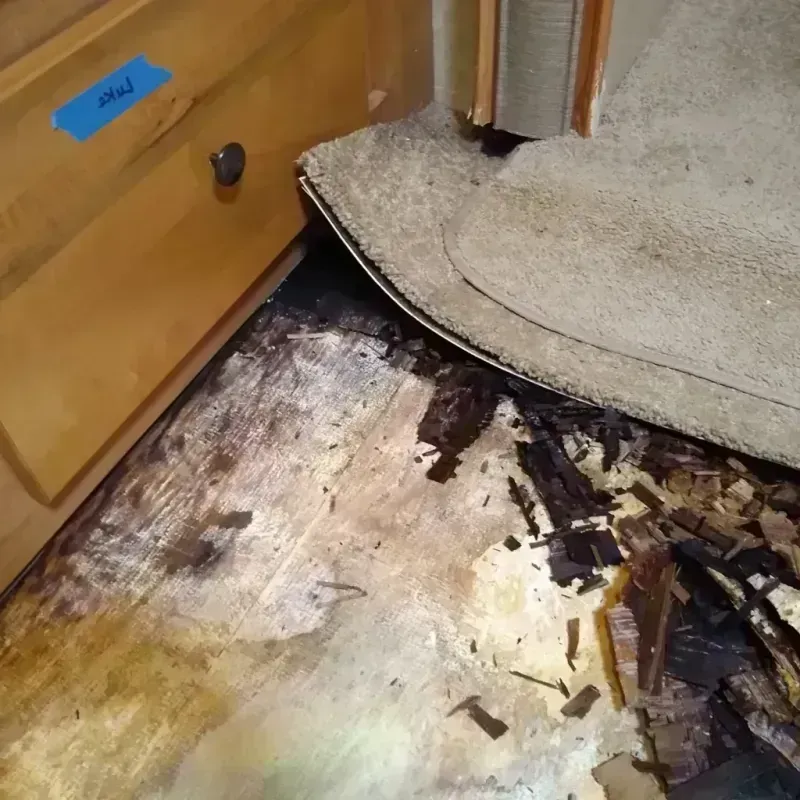 Wood Floor Water Damage in Hawaii County, HI